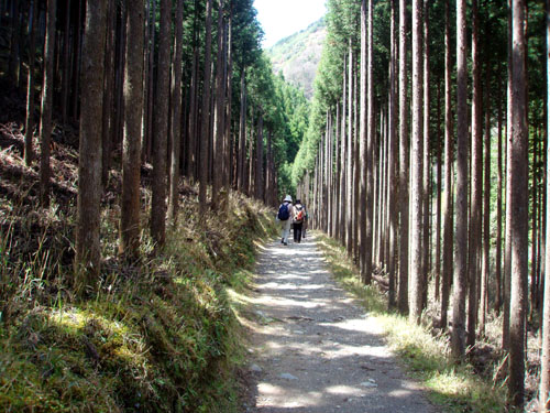 京都一周トレイル 4_e0048413_21301273.jpg