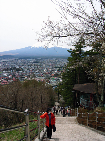 春祭り、新倉浅間神社で満開の桜と富士山を見て、三ヶ寺の歴史にふれ、吉田のうどんで大満足ツアー_f0081726_2031720.jpg