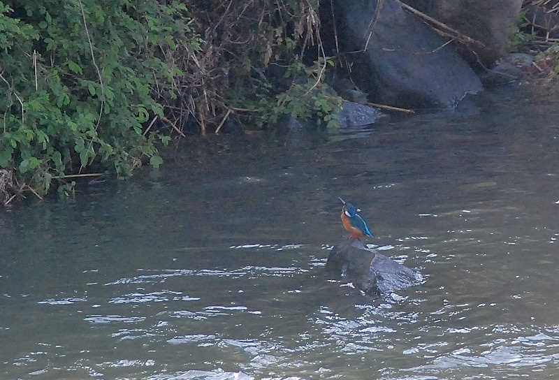 b0109942_0113236.jpg