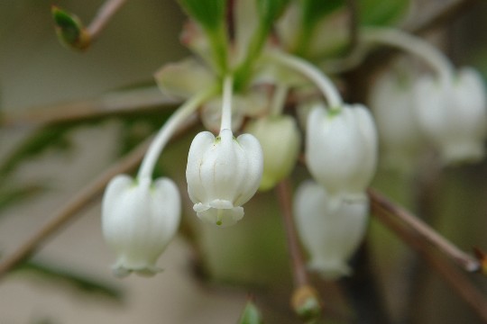 b0088444_11813.jpg