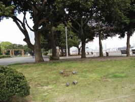 f0063944_12485869.gif