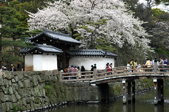 　　花のある風景_b0093754_1582.jpg