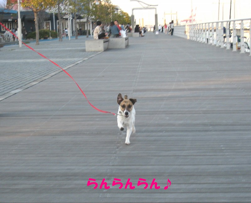 f0134756_17332162.jpg