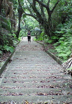 沖縄名護城跡_e0009760_160563.jpg