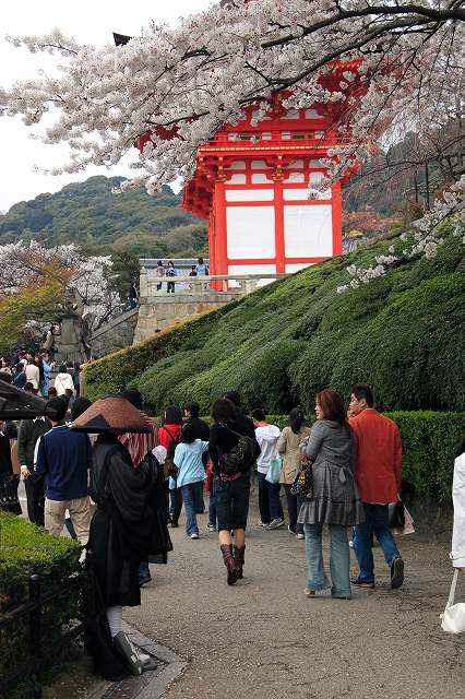 京都桜撮影会（八坂神社～清水寺）　№３_f0129465_1175627.jpg