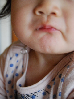 d0116269_821399.jpg