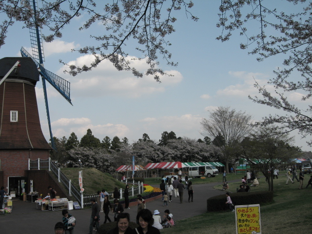 d0070473_10453128.jpg