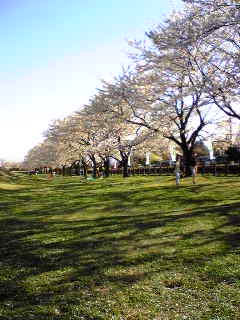 f0011875_10376.jpg