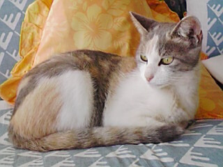 d0113786_14102695.jpg