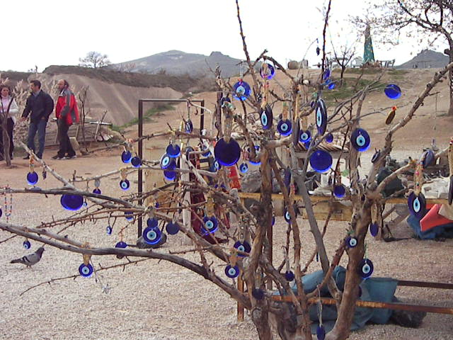 f0038407_1557132.jpg