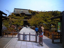 鎌倉トレイルラン_a0036808_1722955.jpg