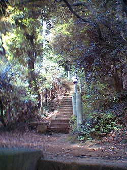 鎌倉トレイルラン_a0036808_17315496.jpg