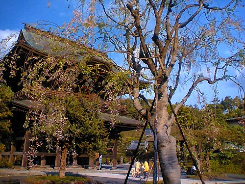 鎌倉トレイルラン_a0036808_17443865.jpg