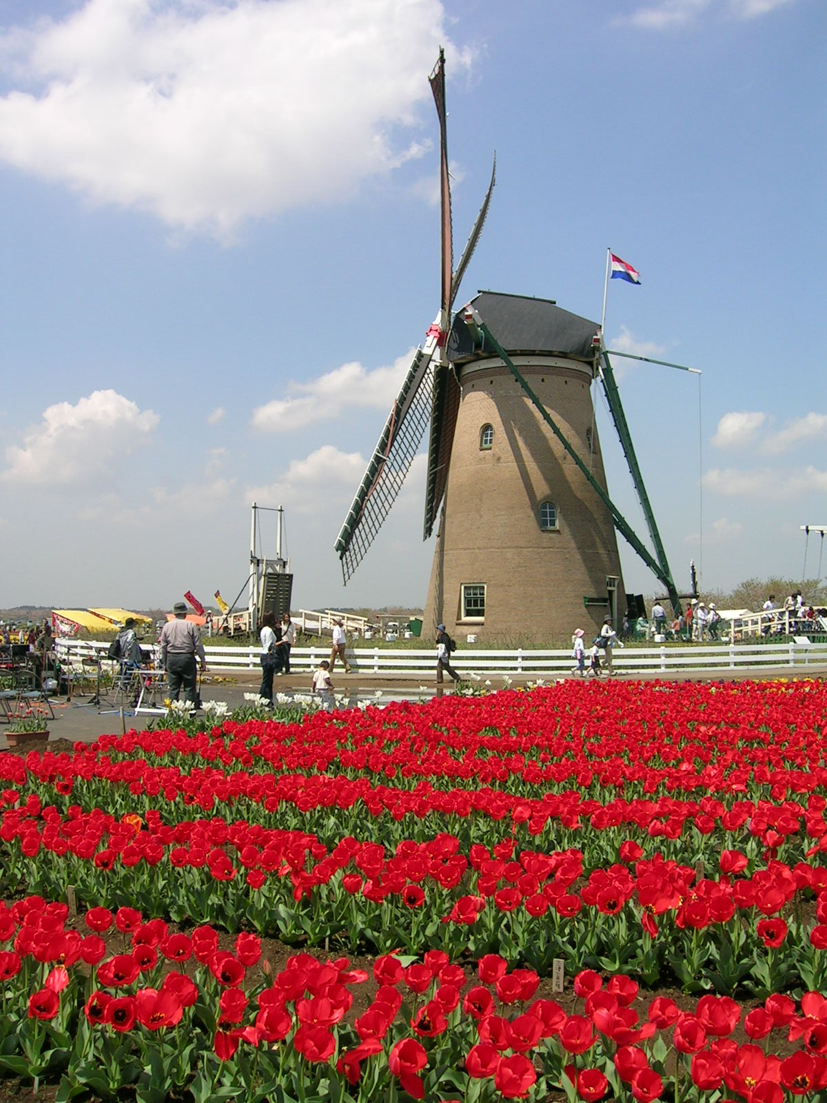 a0027712_22548.jpg