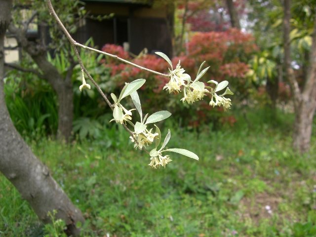 d0023818_91305.jpg
