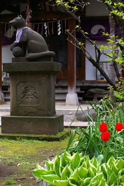 中央区新川を歩く・於岩稲荷田宮神社_b0053019_2059503.jpg