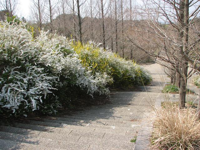 f0099535_953333.jpg