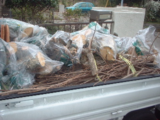 300kgのゴミ_f0031037_17492222.jpg