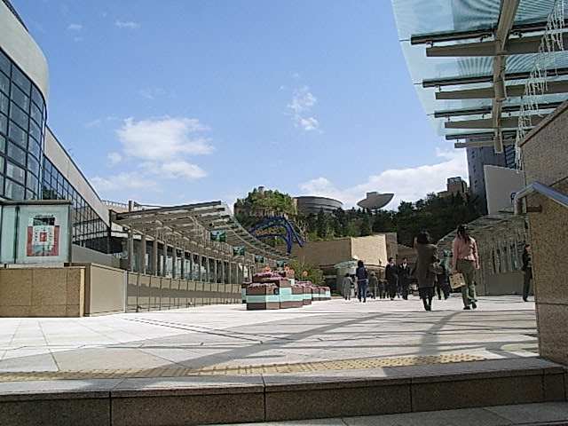 f0040342_1994073.jpg