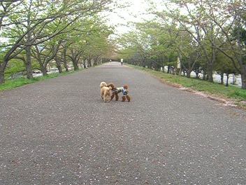 お天気の日には♪_c0115145_17281475.jpg