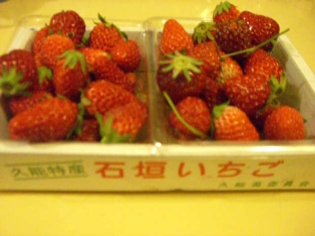 f0033046_903433.jpg