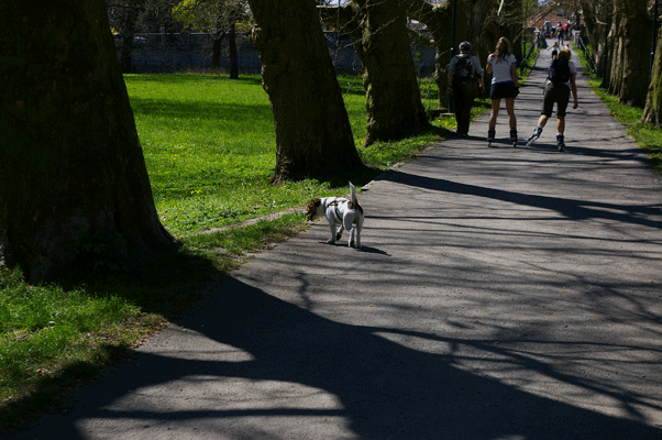 f0077150_16493189.gif