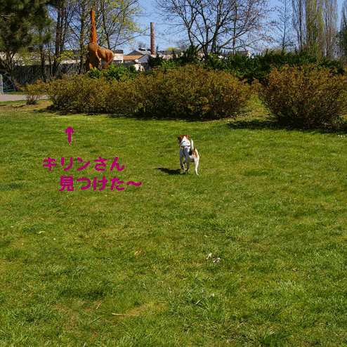 f0077150_165049.gif