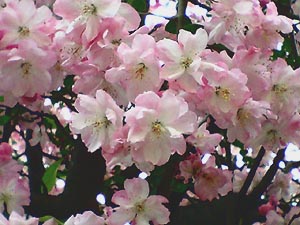 ☆10日ってあっという間☆_c0092953_20155178.jpg