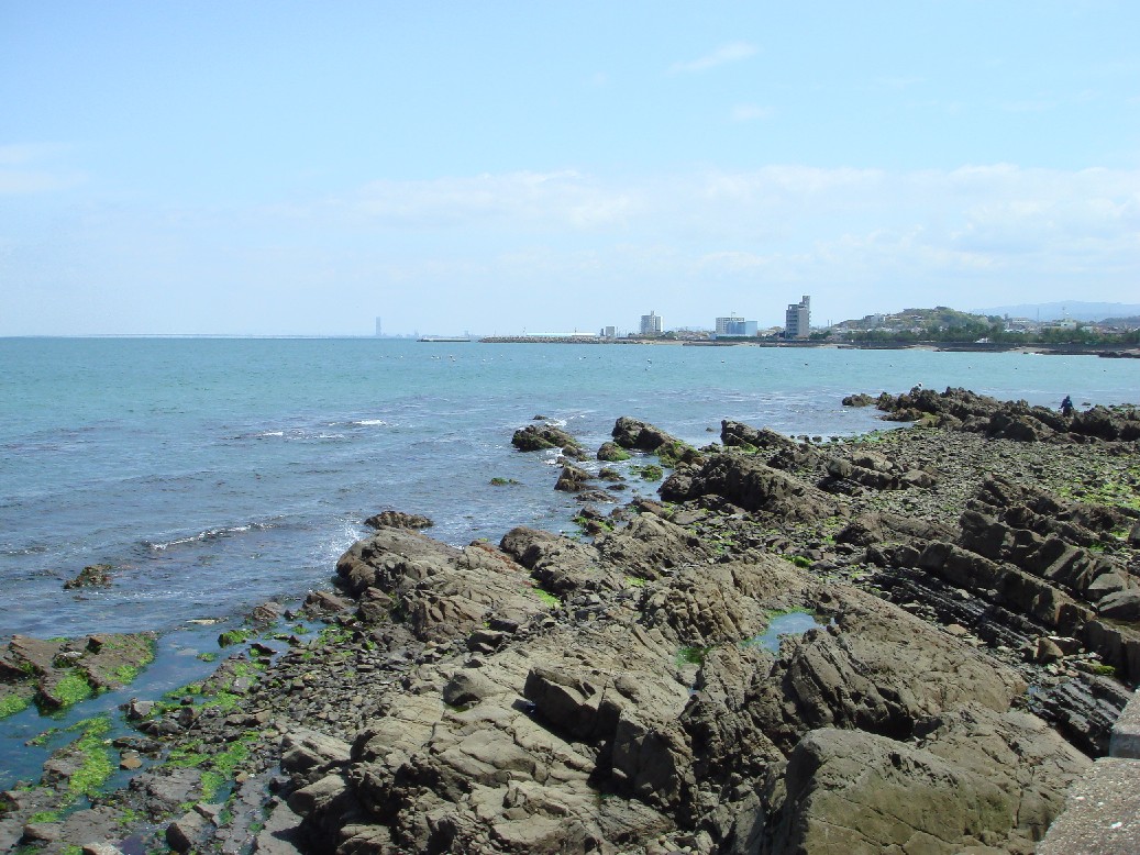 c0108460_17253517.jpg