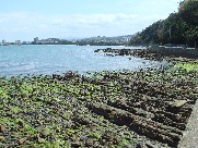 c0108460_17271029.jpg