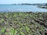 c0108460_17275512.jpg