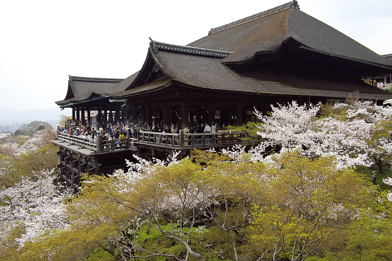 京都桜撮影会Ⅱ（清水3）_f0044370_594018.jpg