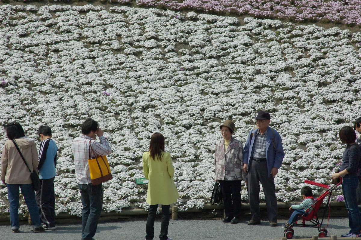 芝桜見物_b0104774_20582680.jpg