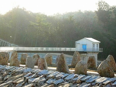 f0004581_81392.jpg