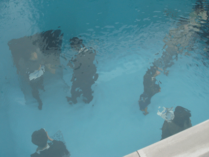 e0001693_1552617.gif