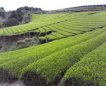 d0071596_2142525.jpg
