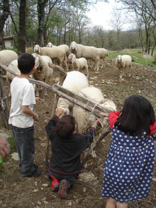 動物大集合!_f0106597_16294459.jpg