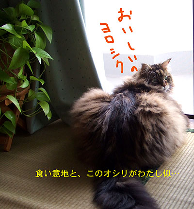 b0024199_2133423.jpg