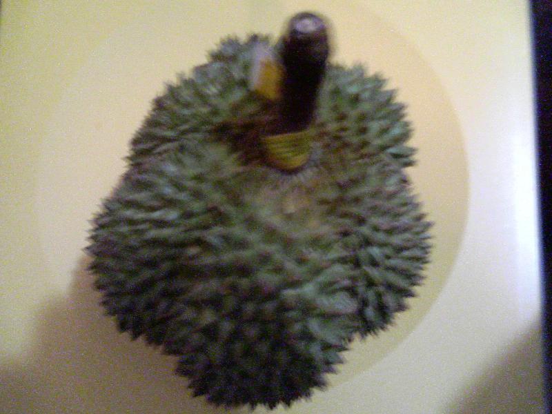 Durian_e0012800_1333815.jpg