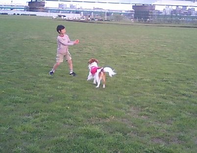 c0065512_0240100.jpg