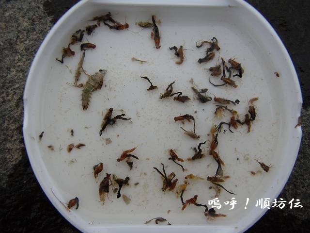 c0106128_2126137.jpg