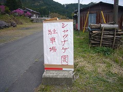 d0086228_1031054.jpg