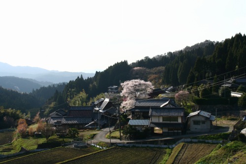 d0055236_12444977.jpg