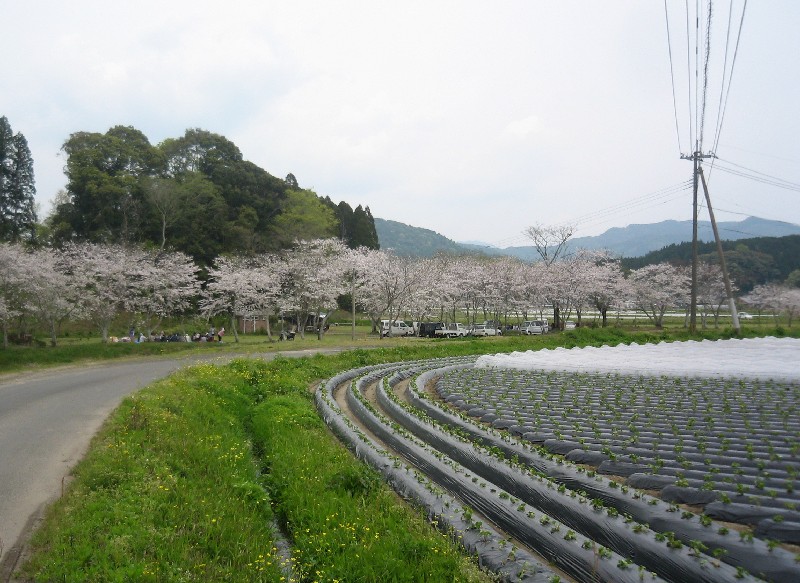 f0042737_11571211.jpg