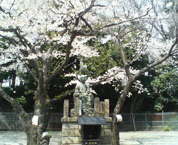 桜・ベストショット_a0061057_21102224.jpg