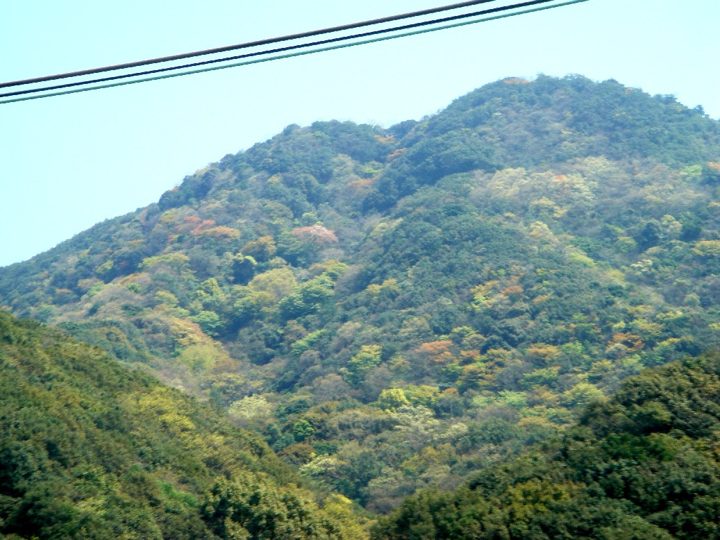 c0108460_15221658.jpg