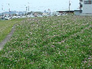 c0108460_1523096.jpg