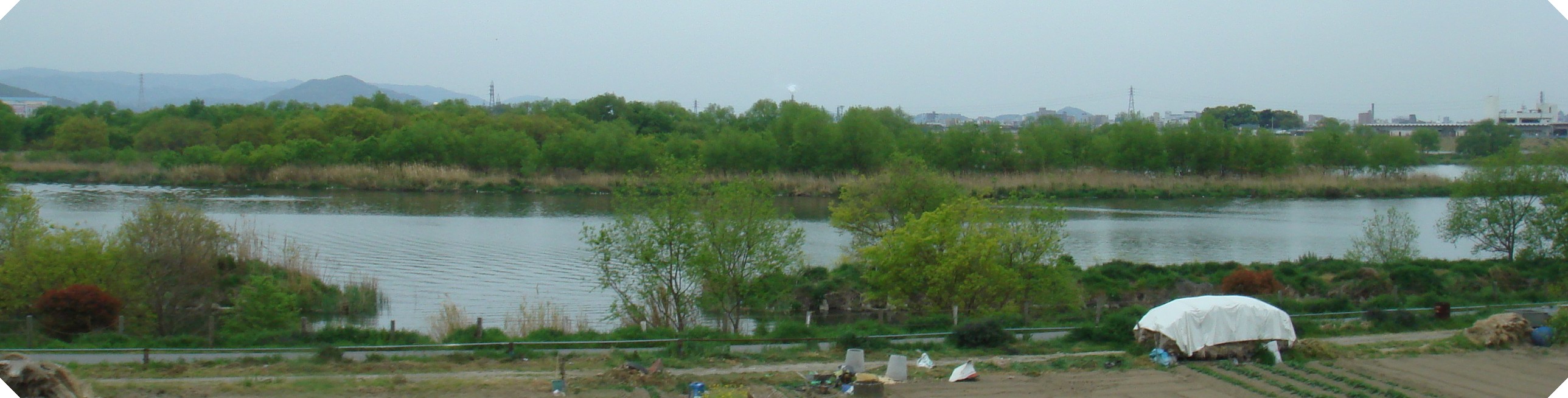 c0108460_15285842.jpg