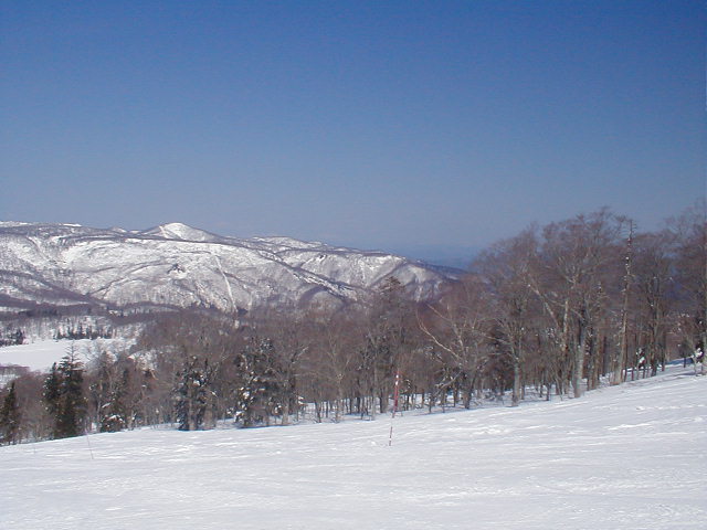 秋田八幡平スキー場_a0095963_22265085.jpg