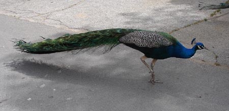 f0029368_11171551.jpg